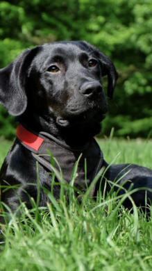 Marley Spencer